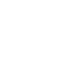 High Jewels Logo White
